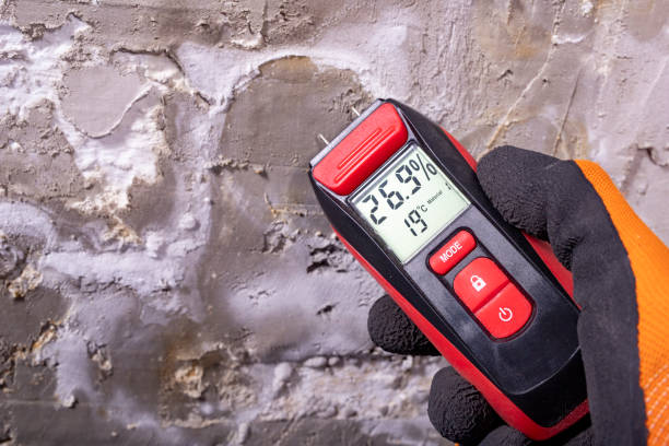 Professional Mold Remediation in Lac Du Flambeau, WI