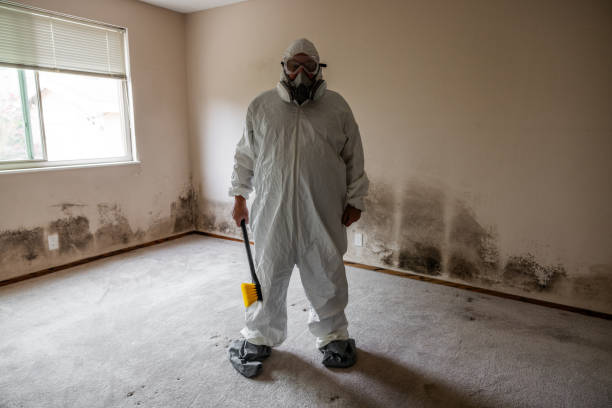 Best Post-Flood Mold Remediation in Lac Du Flambeau, WI